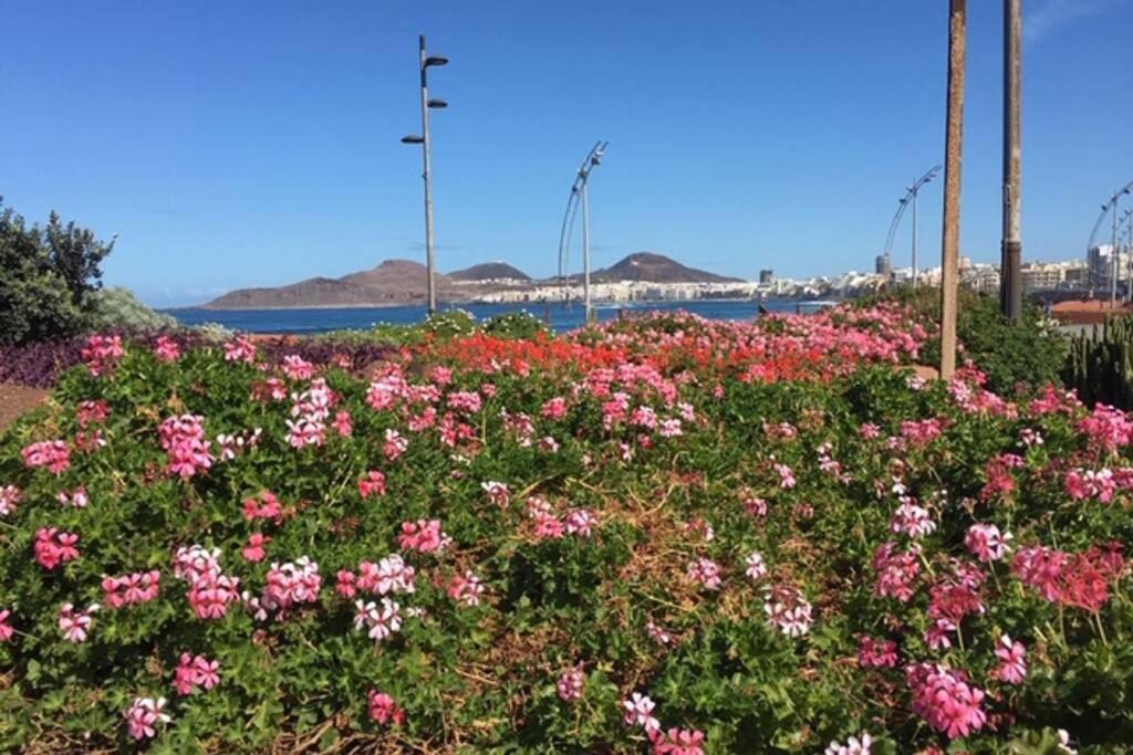 Apartamento el Ático de Mateo 5A Las Palmas de Gran Canaria Exterior foto